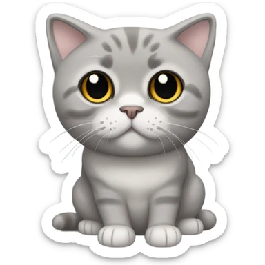 All grey Scottish fold cat sticker
