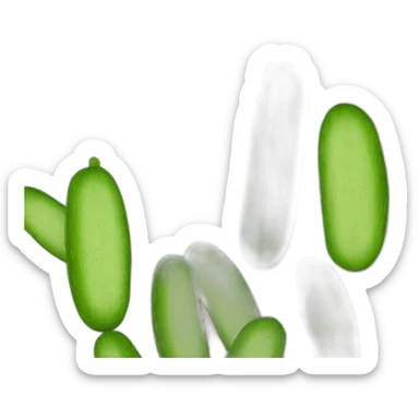 Cucumber  pink brown sticker