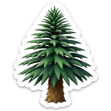 Patagonian araucaria pine sticker