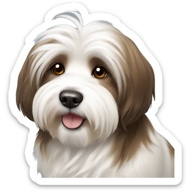 Dog havanese full height brown and white sticker