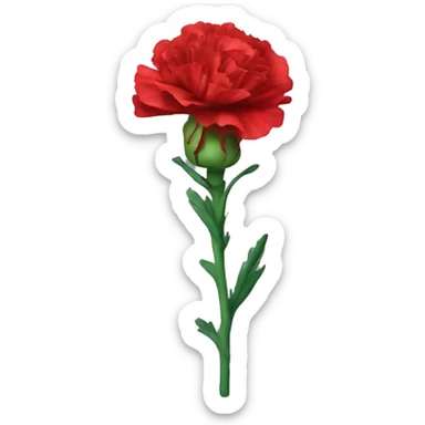 Red carnation sticker