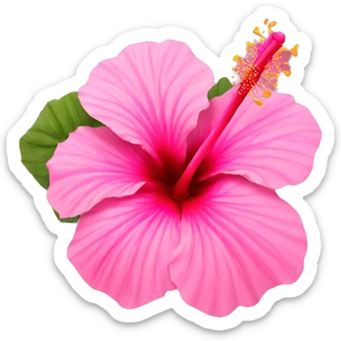 Pink hibiscus  sticker