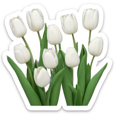 White tulips sticker
