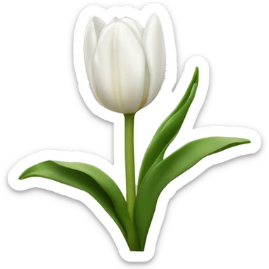 white tulips  sticker