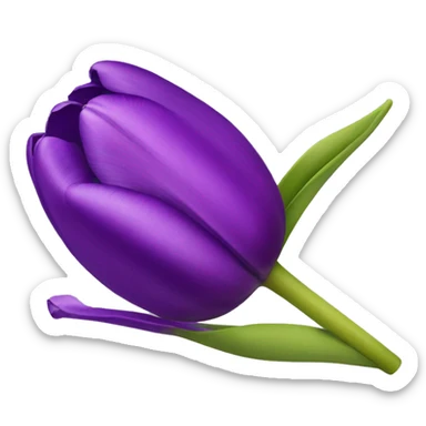 Purple tulip sticker