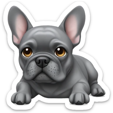 Gray Frenchie laying sticker