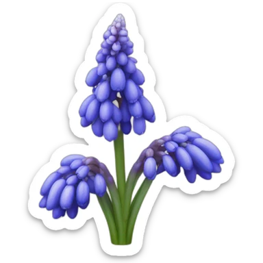 Muscari sticker