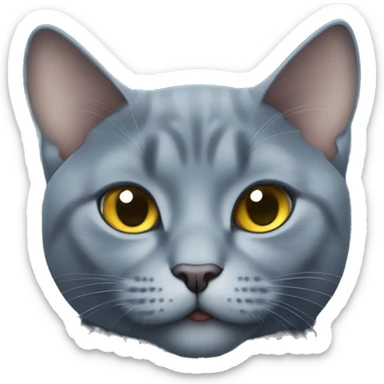 Plump Russian blue cat wearing a diamond chain in a Lamborghini  sticker