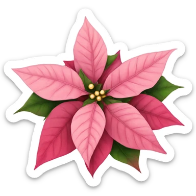 pink poinsettia christmas flowers sticker