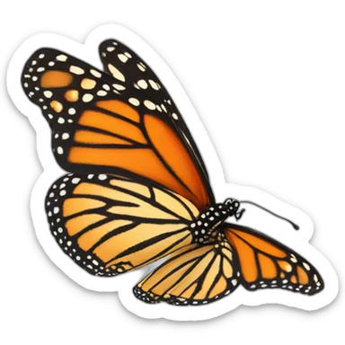 monarch butterfly sticker