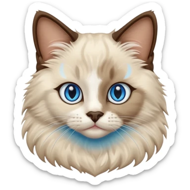 Ragdoll cat, with dark brown nose/center face area with surrounding beige fur, bright blue eyes sticker