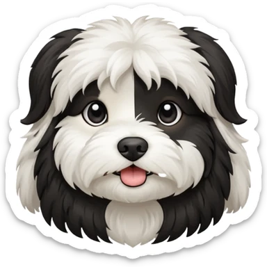 havanese female dog black and white sticker