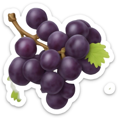 Grappe de raisin  sticker