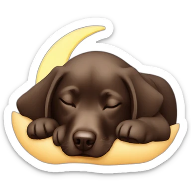 Labrador chocolate sleeping with moon sticker