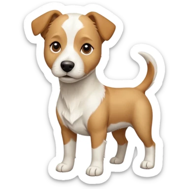 a full body facing front on of a buff white beagle cross jack russell terrier looking dog the size of a kelpie with light brown long ears resting on its face and a light brown patch above one eye and a large snout. the rest of the dog is completely white.  sticker