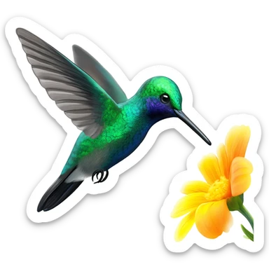 Colibri sticker