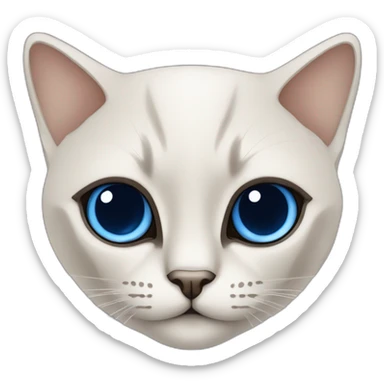 chat croisé siamois et sibérien aux yeux bleus sticker
