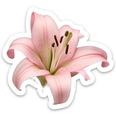light pink lilium sticker
