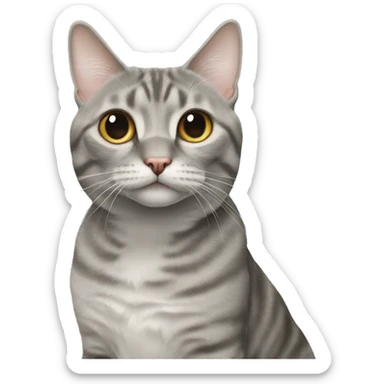 grey american bobtail sticker