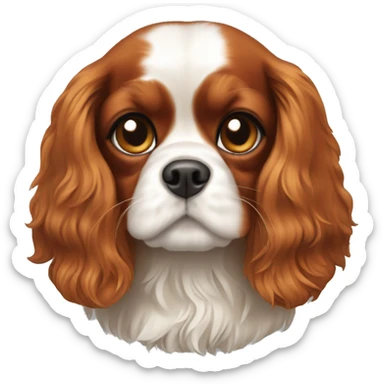 Cavalier King Charles spaniel dog sticker