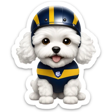 White fluffy maltipoo wearing LA Rams football helmet sticker