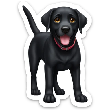labrador black Dog  sticker