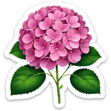 one single pink hydrangea sticker