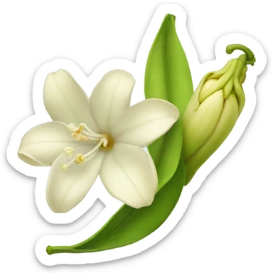 vanilla flower and pod sticker