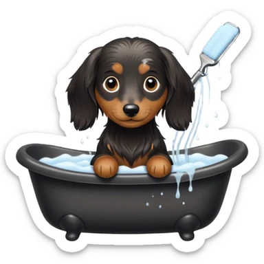 Black and cream Long haired Dachshund getting bath and haircut sticker
