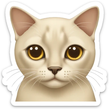 Cream with brown ears Burmese cat sticker