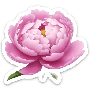 Peonies  sticker