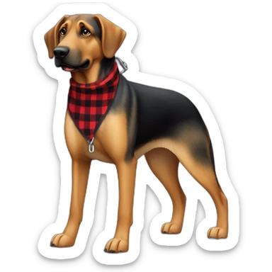 adult 75% Coonhound 25% German Shepherd mix dog wearing small pointed red buffalo plaid bandana full body walking left with leash sticker