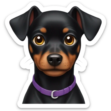 fully black mini pinscher dog  sticker