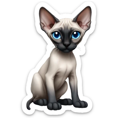 Siamese Sphynx  cat with blue eyes, full body, black nose ears and tail sticker