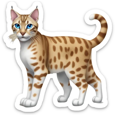 Lynx Bengal cat with Blue eyes standing sticker