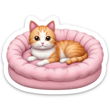Soft pink Cat bed with out cat sticker