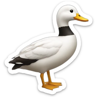 Pato sticker