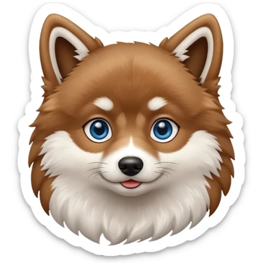 Brown Pomsky with blue eyes and white feet sticker