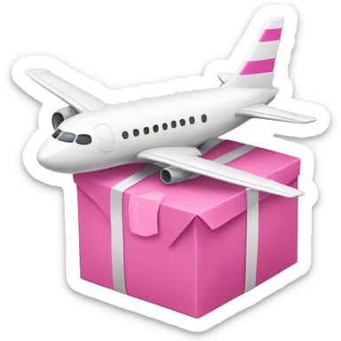 airplane with a pink parcel   sticker