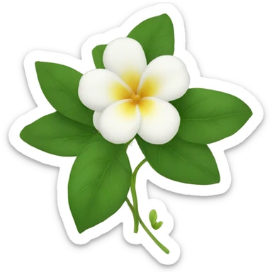 jasmins flowers with leafs sticker