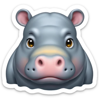 hippo sticker