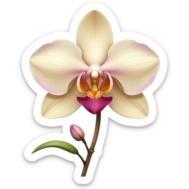 orchid flower, light beige color, no leaves, one piece only sticker