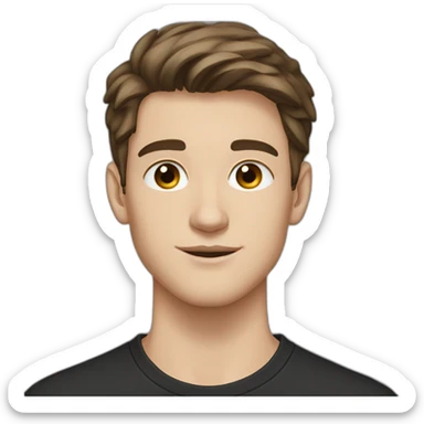 portrait of 18 years old guy, brown hair to the left, gray eyes, black shirt sticker