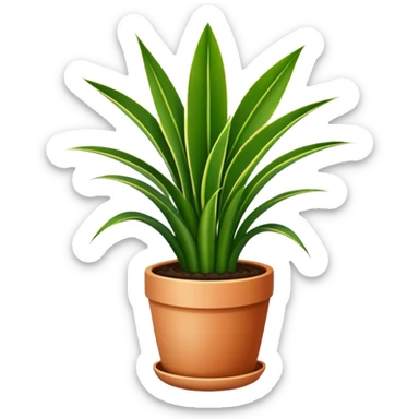 Snake plant with these leaves in basic pot sticker