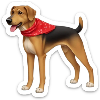 65% Coonhound 35% German Shepherd mix dog wearing small plain red bandana walking left sticker
