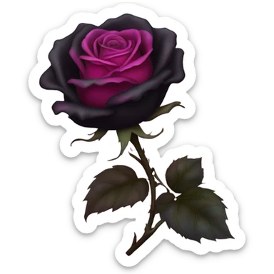 black burning rose with pink fire sticker