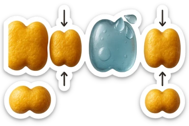 il processo di una cellula adiposa che si sgonfia, e si gonfia di acqua, falla identica all'immagine che ho allegato ma in 3d iperrealistica 4k sticker