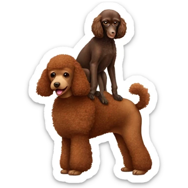 Brown poodle with a monkey, sitting on his back sticker
