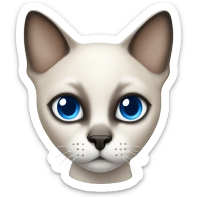 short haired siamese cat with white mask and blue eyes sticker