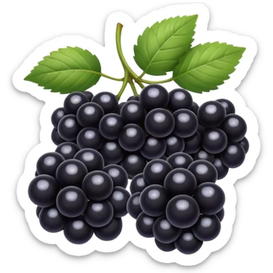 black berry sticker